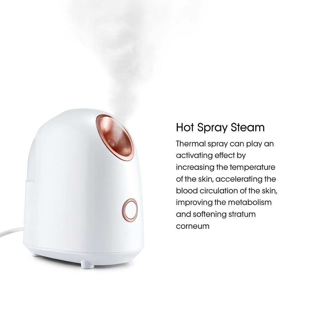 Facial Steamer