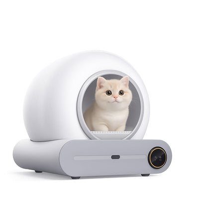 Self-Cleaning Litterbox