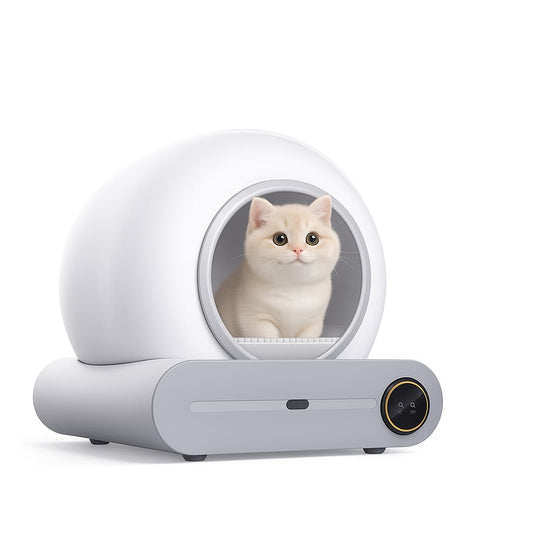 Self-Cleaning Litterbox